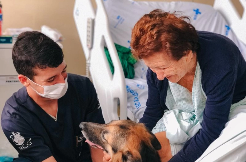 Imagem Hospital Metropolitano retoma projeto da Terapia Assistida por Animais para pacientes