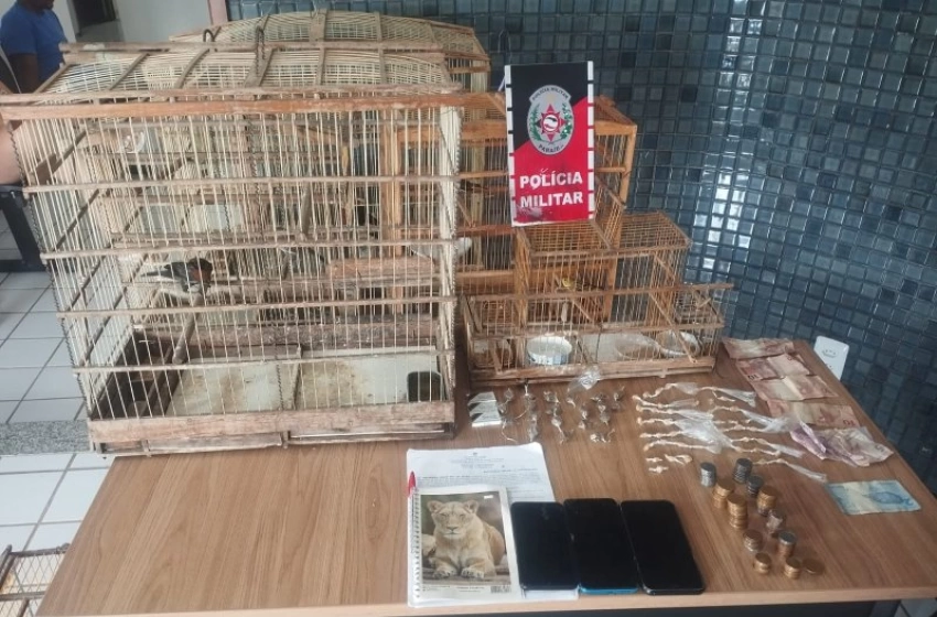 Imagem Aves Silvestres e drogas apreendidas pela ROTAM em Sousa 