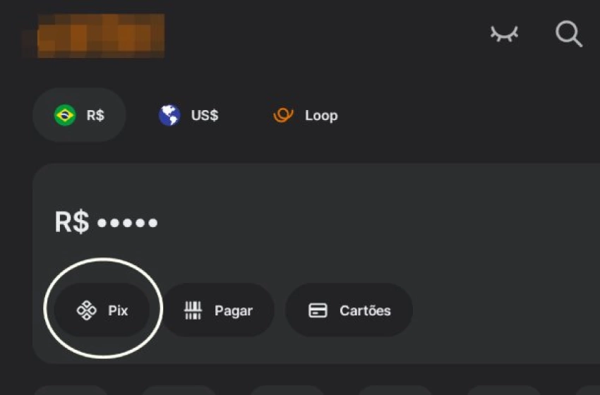 Imagem Transações via Pix