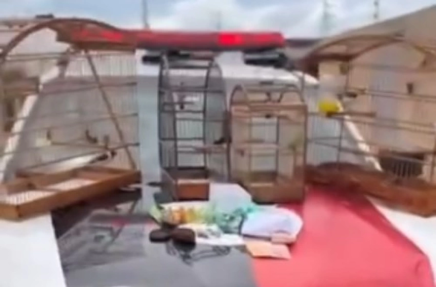 Imagem Material ilícito apreendido em ação da Polícia Militar