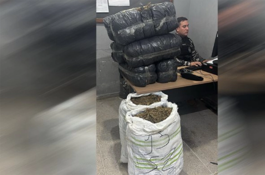 Imagem Apreensão de mais de 60 Kg de maconha