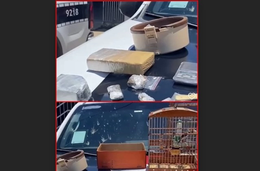 Imagem Material ilícito apreendido em ação da PM