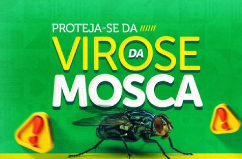 Imagem Alerta sobre os perigos das moscas na transmissão de doenças