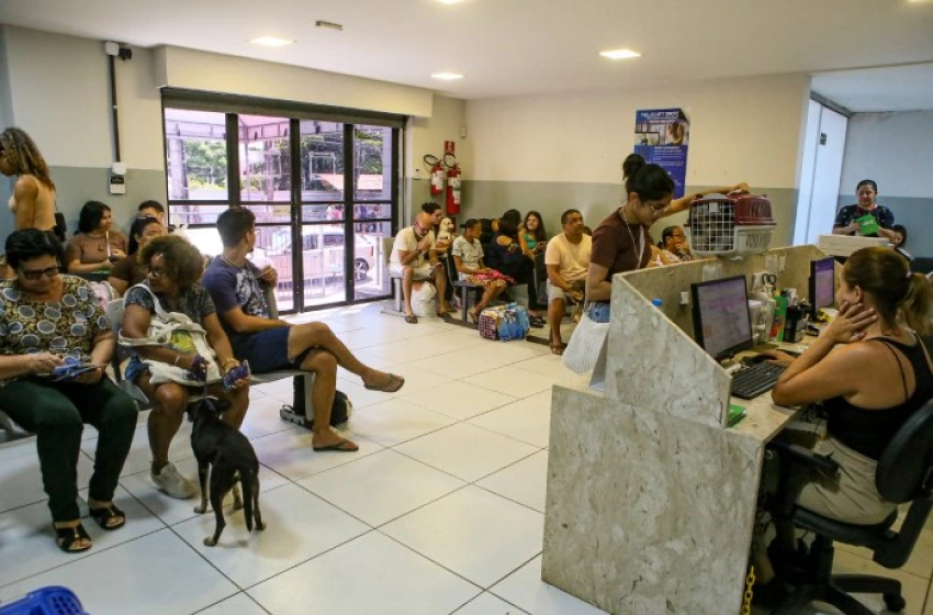 Imagem Cuidado animal em João Pessoa