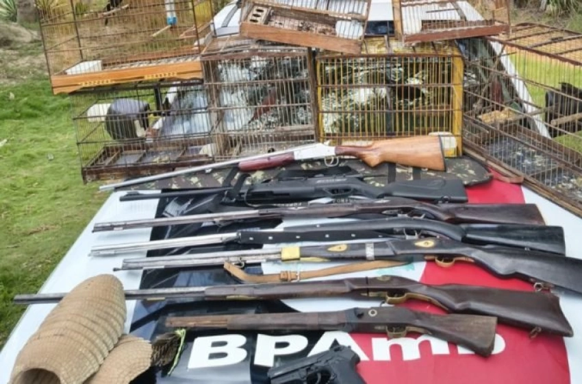 Imagem Suspeito de manter aves em cativeiro é preso com armas 