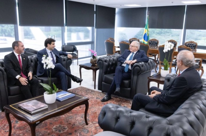 Imagem Estratégia institucional contra o crime organizado