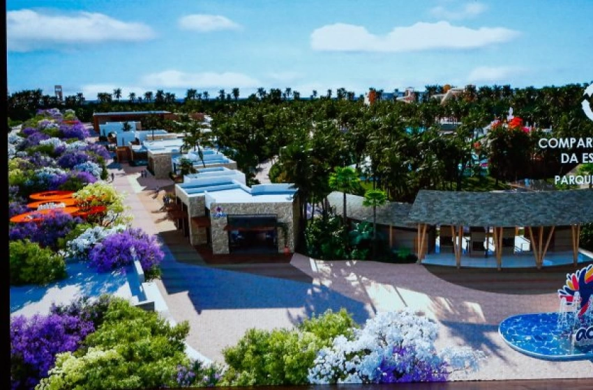 Imagem Cidade Árvore do Mundo