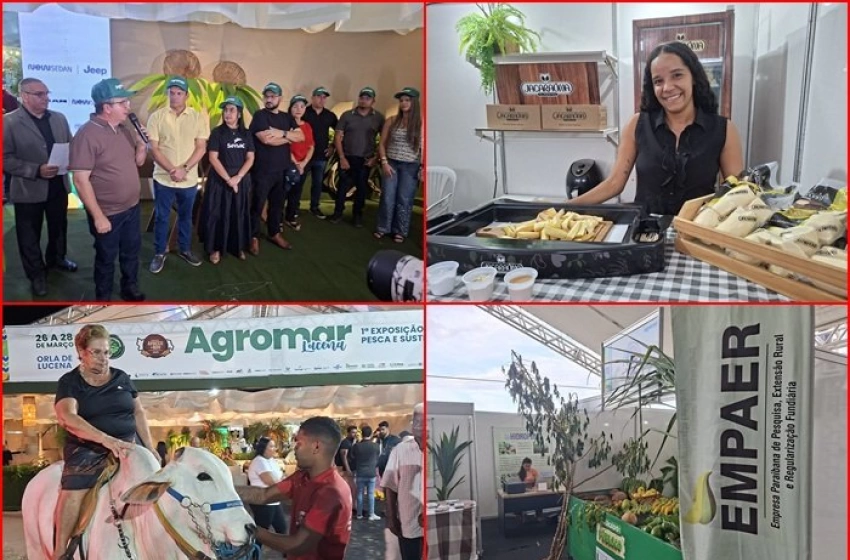 Imagem Exposições, palestras e oficinas em Lucena