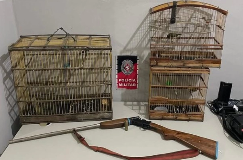Imagem Aves Silvestres e arma de fogo apreendidas pela polícia militar em Santa Rita