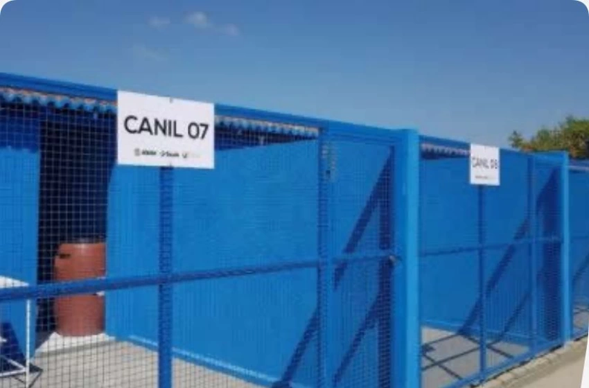 Imagem Canil Municipal