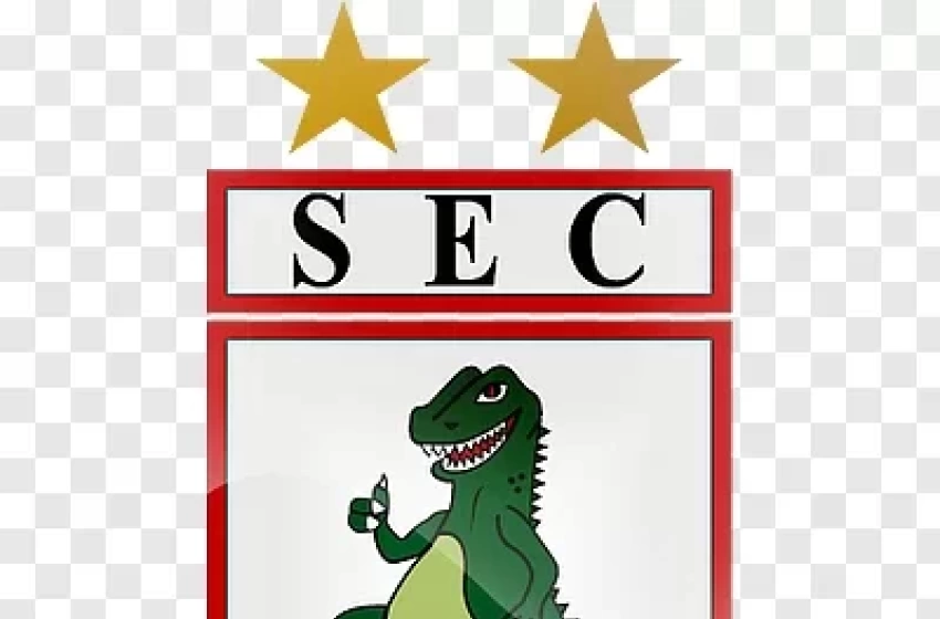 Imagem Sousa Esporte Clube 