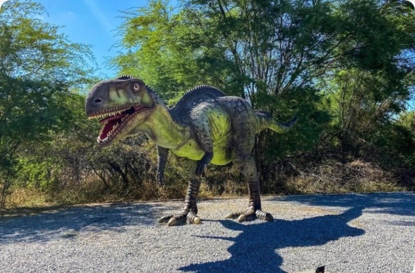 Imagem Sousa, Cidade do Vale dos Dinossauros