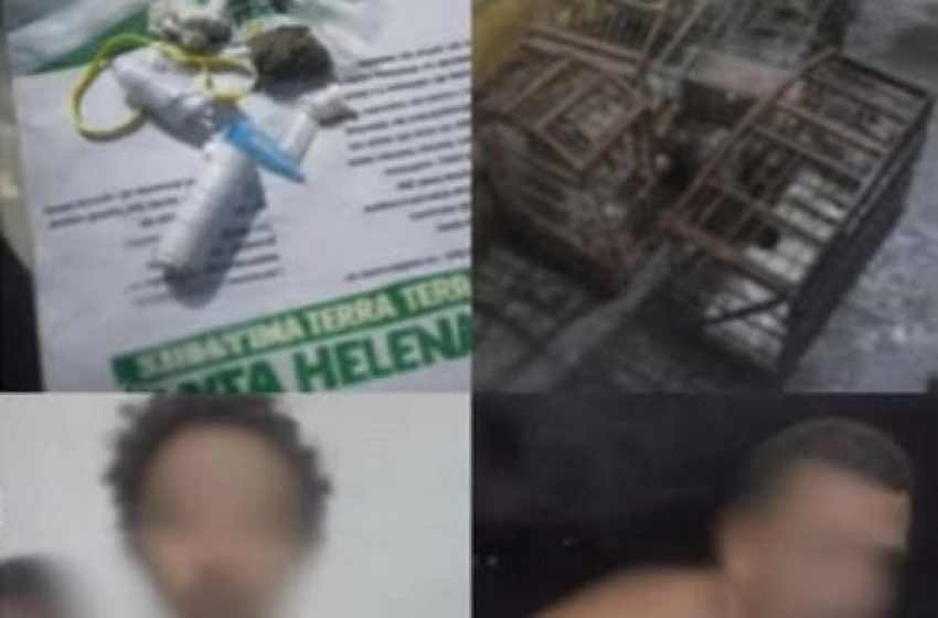 Imagem Prisões durante ocorrência de perturbação do sossego