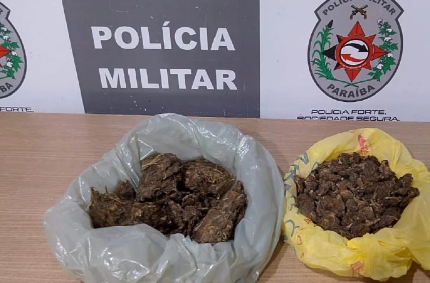 Imagem Drogas apreendidas pela Polícia Militar em João Pessoa 