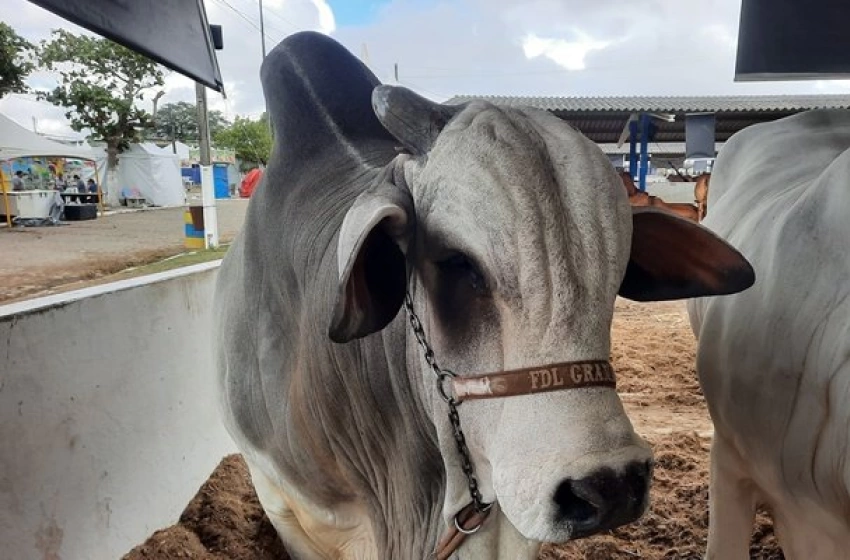 Imagem Governo da Paraíba apoia a realização do 4º Agro Barra, em Barra de Santana