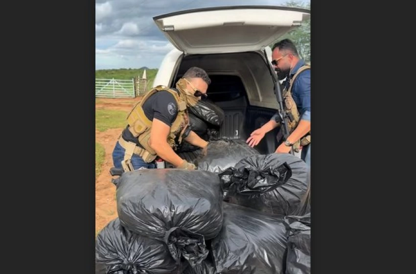 Imagem Apreensão de 300 kg de maconha