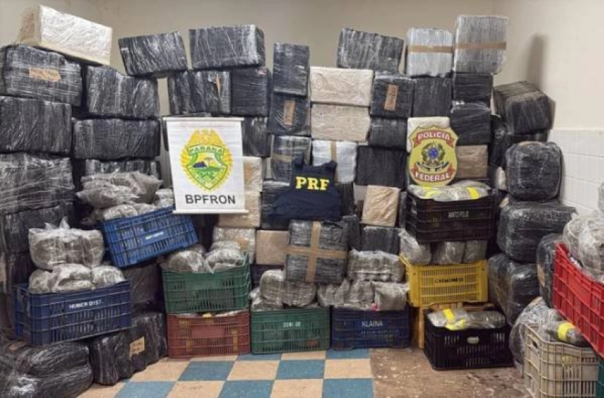 Imagem Drogas apreendidas em ação da FICCO