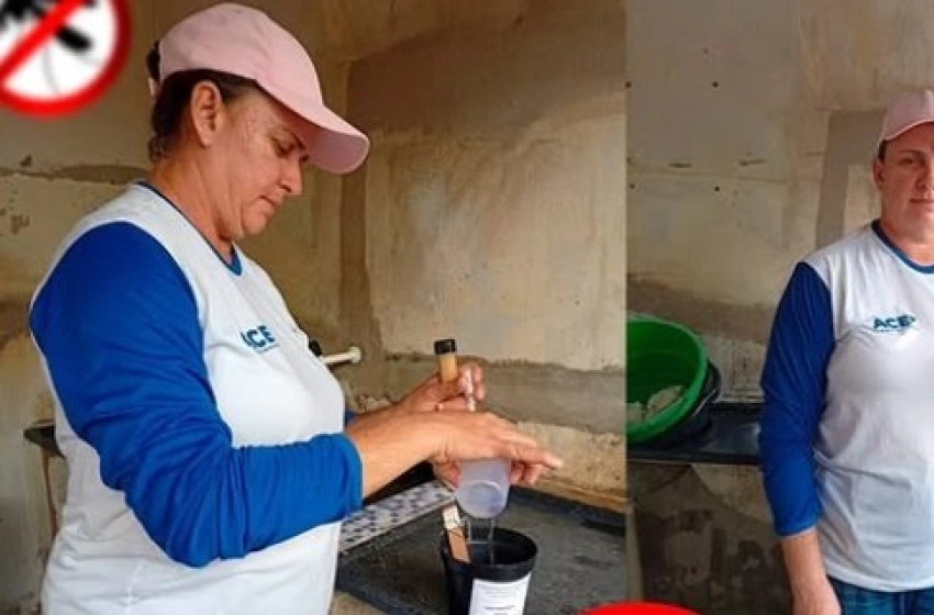 Imagem Aparecida intensifica combate às arboviroses com instalação de ovitrampas em pontos estratégicos