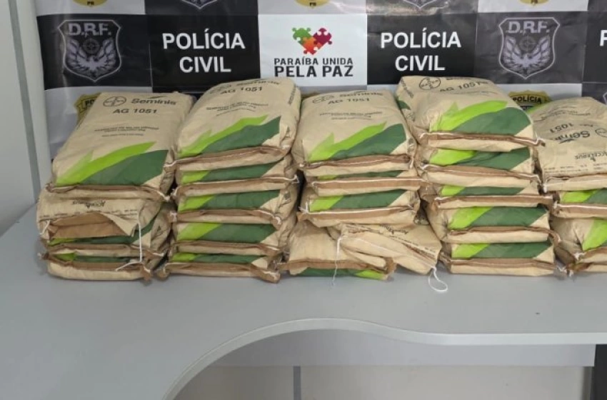 Imagem Drogas apreendidas pela Polícia Civil em Queimadas 