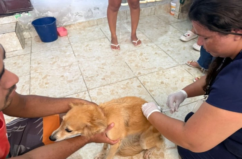 Imagem Mutirão de vacinação domiciliar