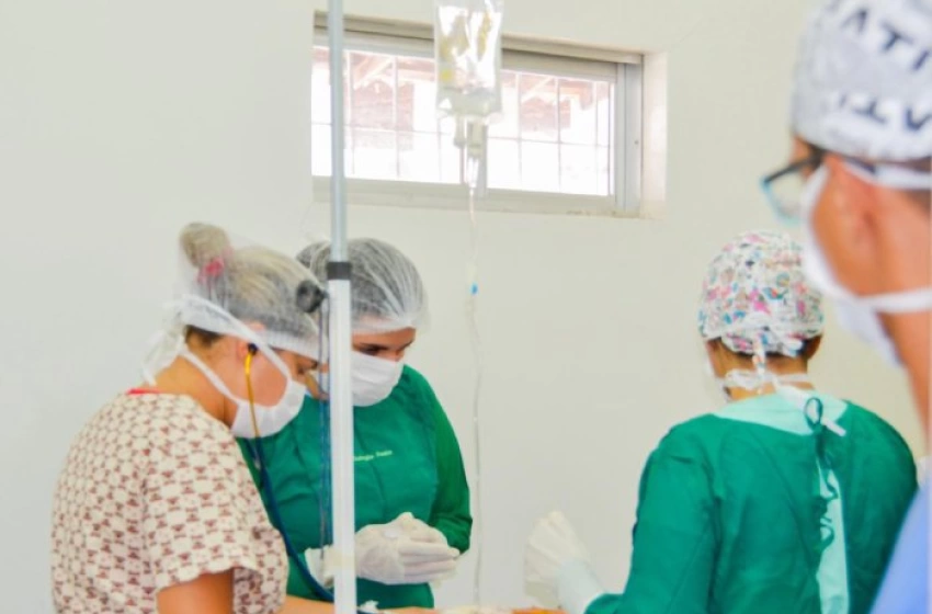 Imagem Cirurgias de castração de cães e gatos