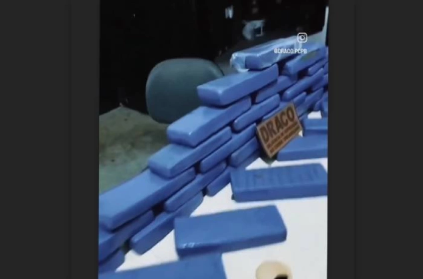 Imagem Drogas apreendidas em ação da Polícia Civil