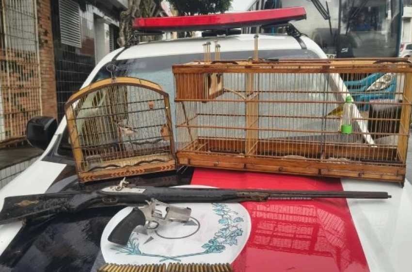 Imagem Aves silvestres e armas de fogo apreendidas em ação policial no município de Araçagi 