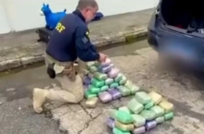 Imagem Grande apreensão de drogas