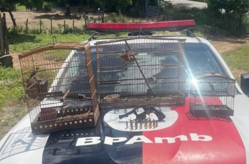 Imagem Aves silvestes e arma de fogo apreendidas pela polícia militar em Gurinhém