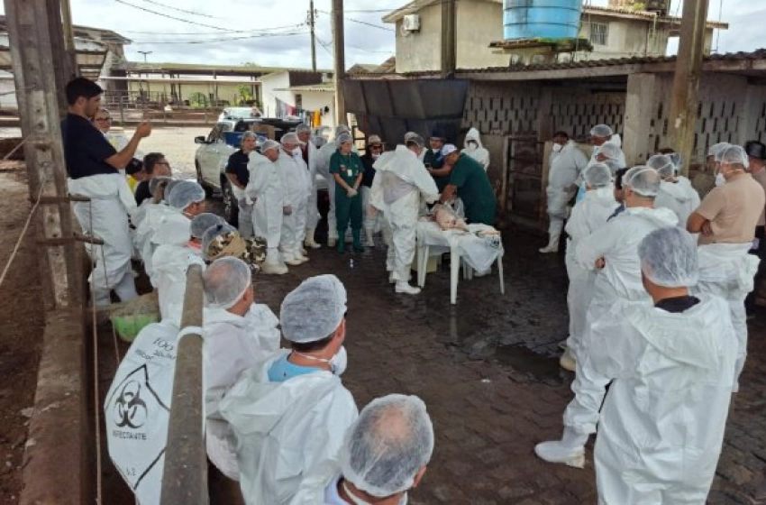 Imagem Capacitação com profissionais sobre sanidade animal