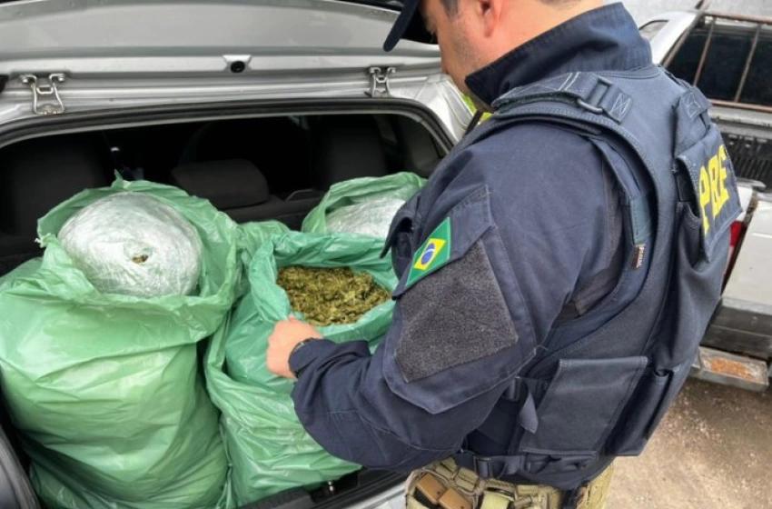Imagem Apreensão de drogas na BR-230
