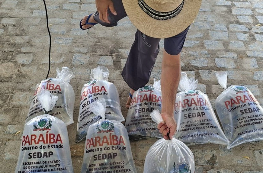 Imagem Entrega alevinos para produtores durante a 5ª Agrofeira no município de Passagem