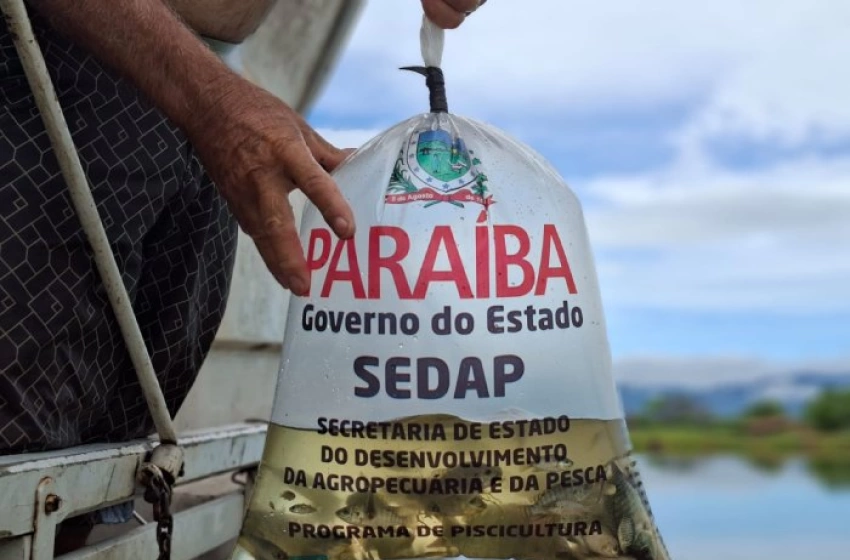 Imagem Distribuição de 120 mil alevinos para quatro municípios