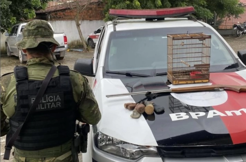 Imagem Arma e ave silvestre apreendidas em Guarabira 
