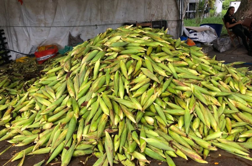 Imagem Feira do Milho da Empresa Paraibana de Abastecimento e Serviços Agrícolas (Empasa)