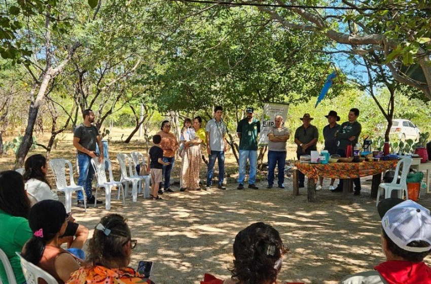 Imagem Empaer e Prefeitura de Brejo do Cruz firmam parceria e estimulam a meliponicultura