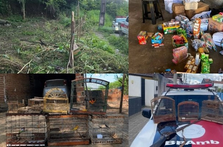 Imagem Ações do Batalhão Especializado em Policiamento do Meio Ambiente (BPMA)