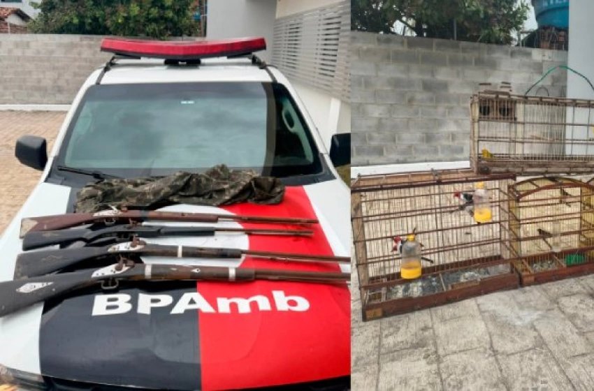 Imagem Apreensão de aves silvestres e armas de fogo