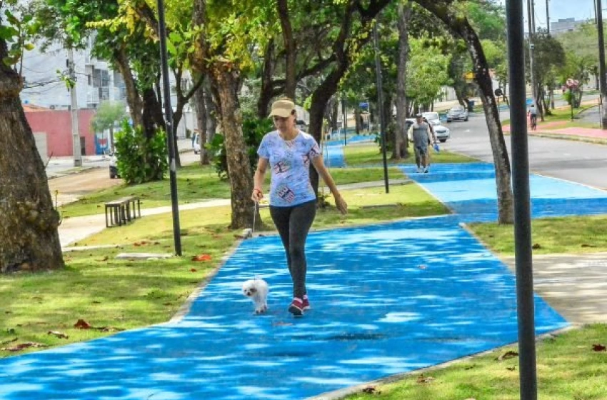 Imagem Afeto entre os pets e seus tutores