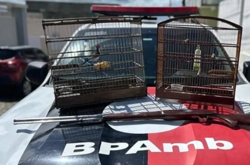 Imagem BPMA flagra cativeiro ilegal de animal silvestre e apreende espingarda