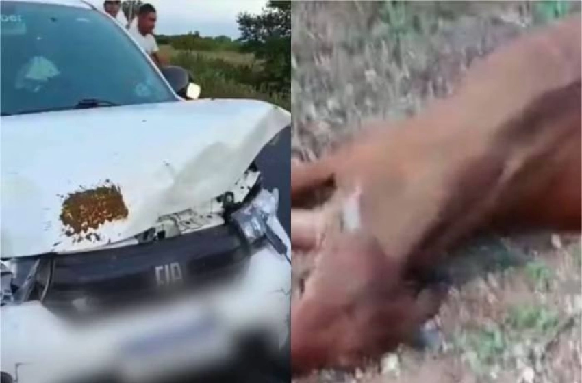 Imagem Reprodução/Redes Sociais