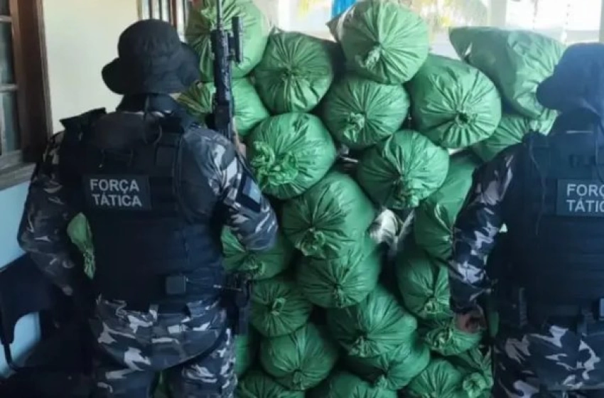 Imagem Apreensão de cerca de 430 kg de maconha
