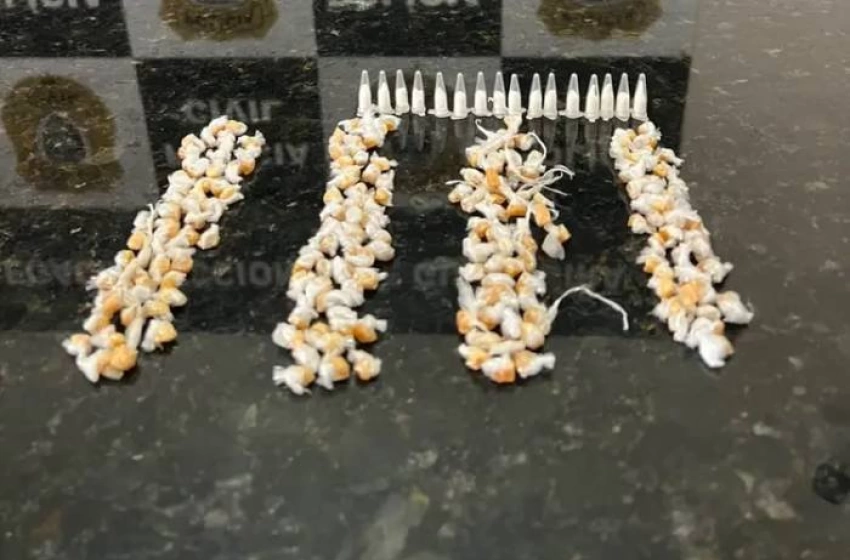 Imagem Drogas apreendidas em ação da Polícia Civil