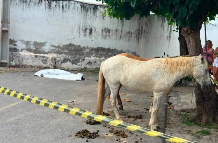Imagem Morte de homem após ser arrastado por cavalo