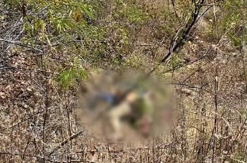 Imagem Corpo de homem achado em São José de Piranhas