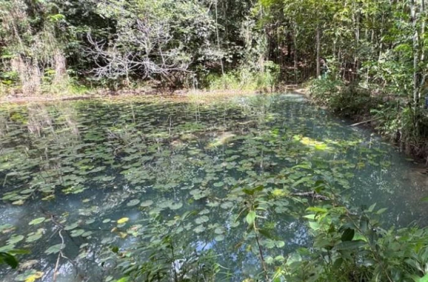 Imagem Rio Tibiri, em Santa Rita