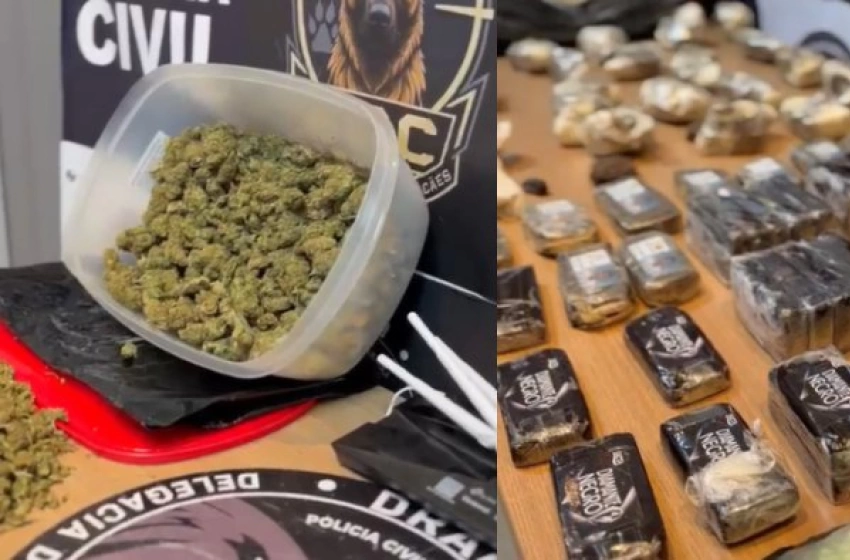 Imagem Drogas apreendidas em ação da Polícia Civil