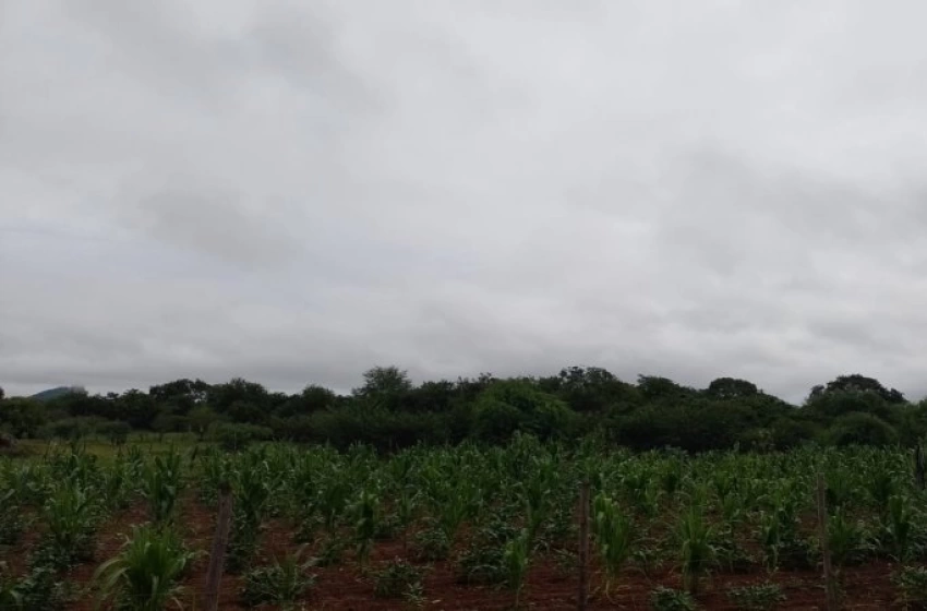 Imagem Alerta de vendaval para os 223 municípios da Paraíba