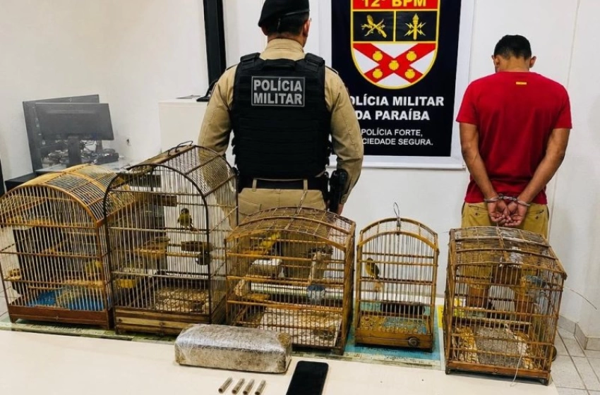 Imagem Aves silvestres e maconha apreendidos em ação da Polícia Militar, no município de Catolé do Rocha 
