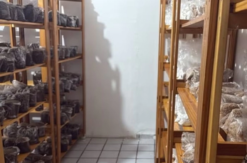 Imagem Empresa virtual de tráfico de drogas